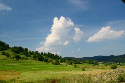 Прикрепленное изображение: DSC_0018_.jpg